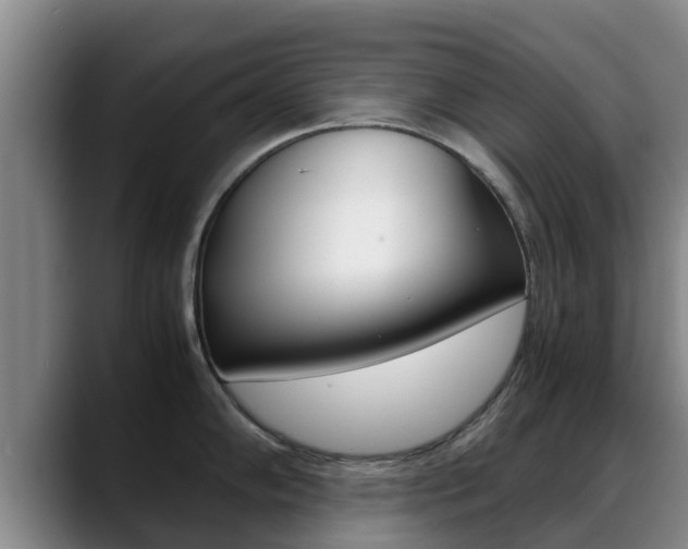 X0000089431102200706151017