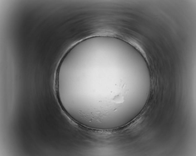 X0000089431103200706151017