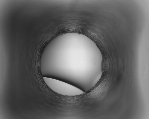 X0000089431105200706151016