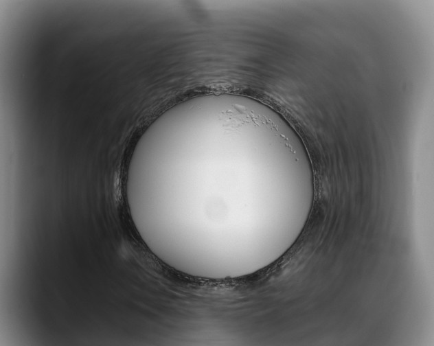 X0000089431106200706151016