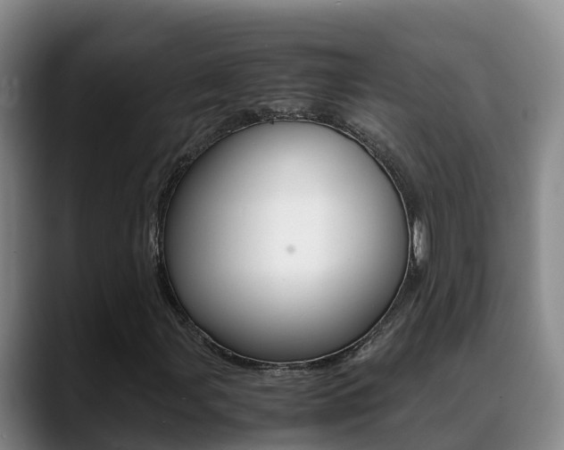 X0000089431107200706151016