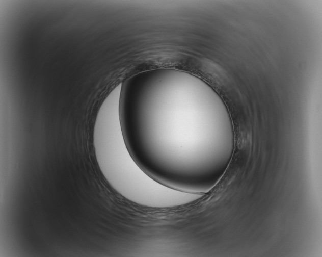 X0000089431108200706151016