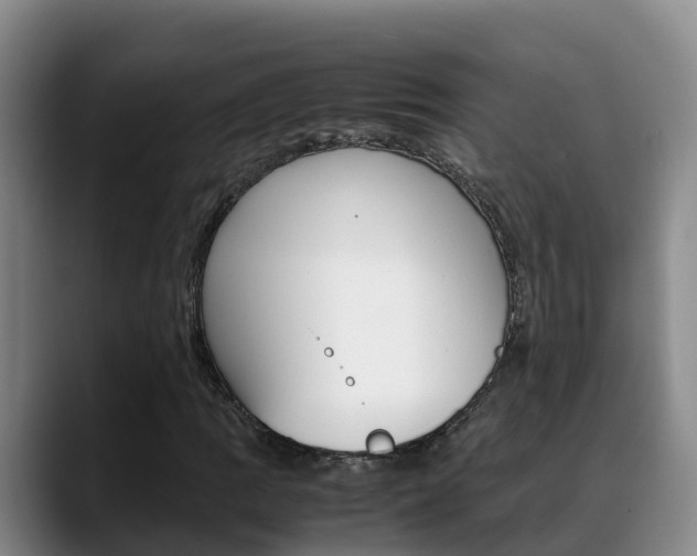 X0000089431109200706151016