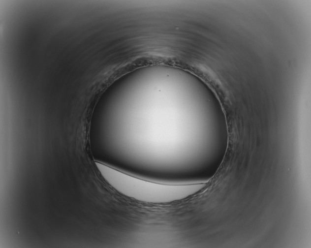 X0000089431110200706151016