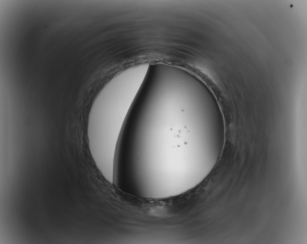 X0000089431111200706151016