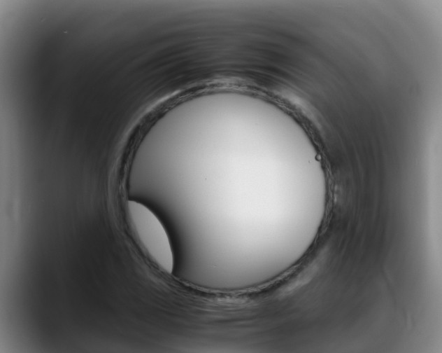 X0000089431117200706151017