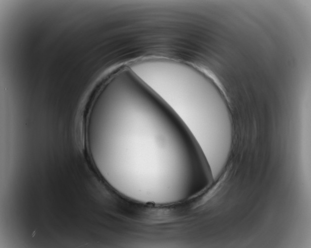 X0000089431123200706151017