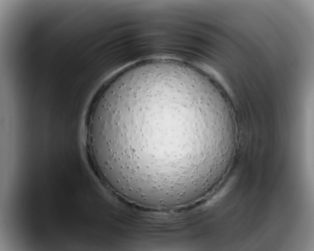 X0000089431125200706151017