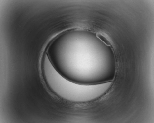 X0000089431128200706151017