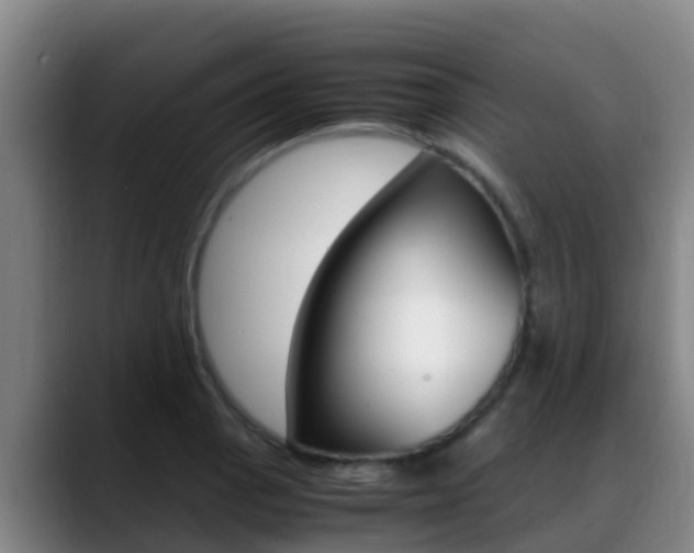 X0000089431129200706151017