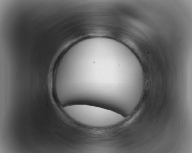X0000089431130200706151017