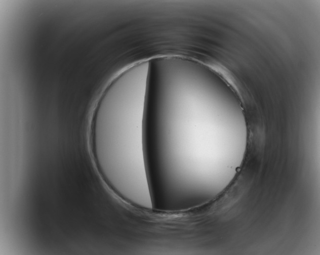 X0000089431143200706151017