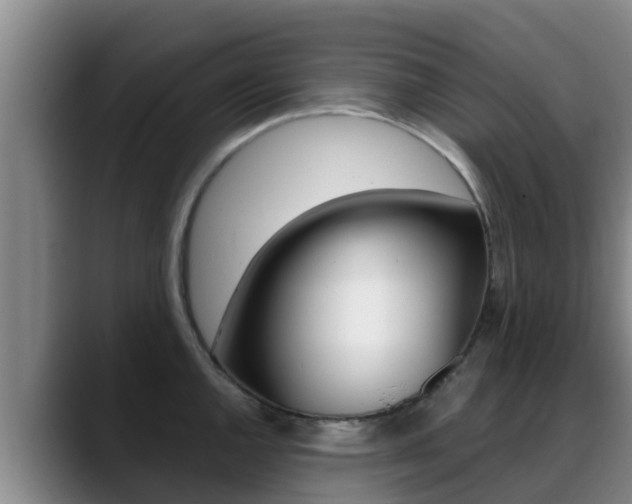 X0000089431144200706151017