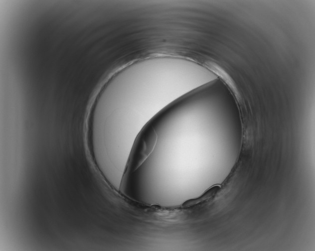 X0000089431146200706151017