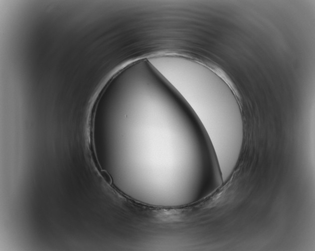 X0000089431148200706151017