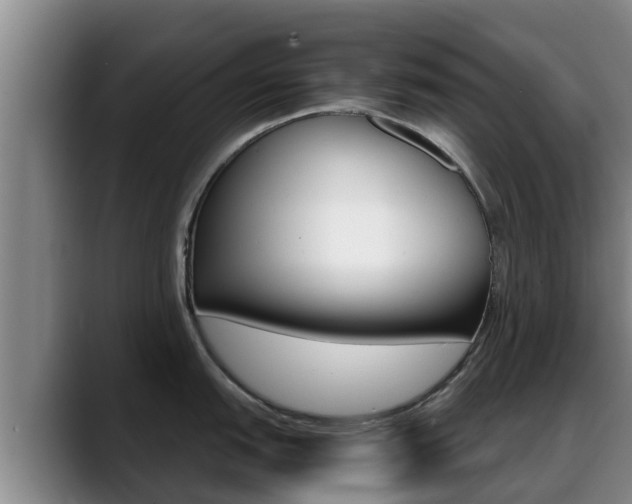 X0000089431151200706151017