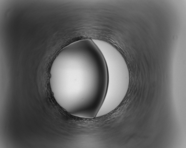 X0000089431153200706151016