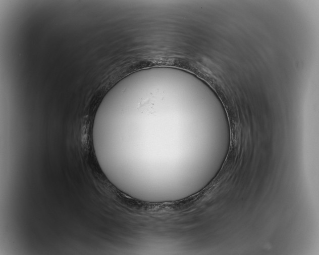 X0000089431154200706151016