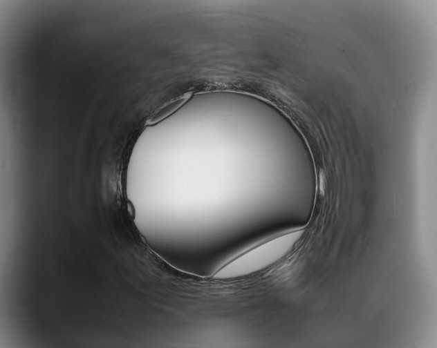 X0000089431155200706151016