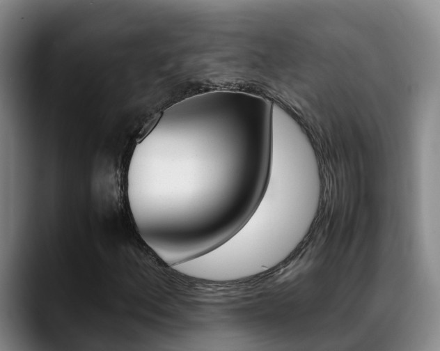 X0000089431156200706151016