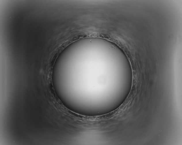 X0000089431157200706151016