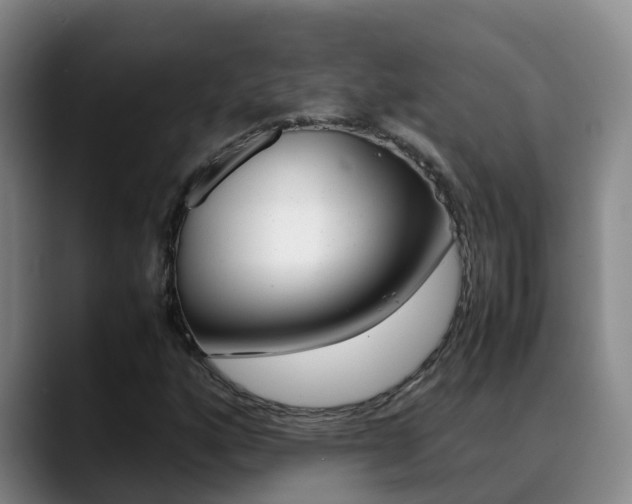 X0000089431160200706151016