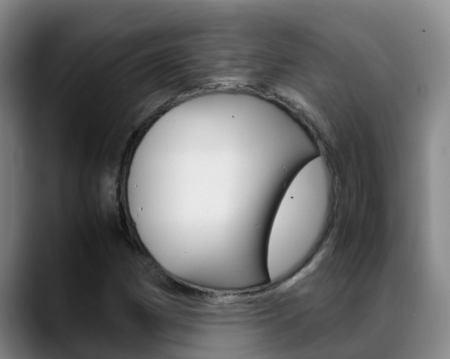 X0000089431162200706151016