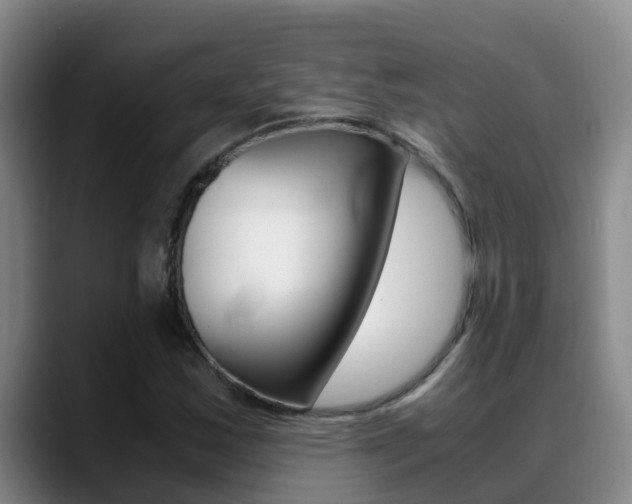 X0000089431163200706151016