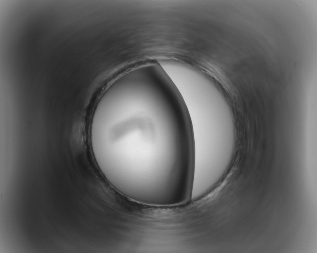 X0000089431164200706151016