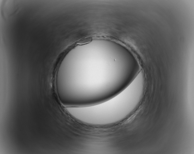 X0000089431165200706151016
