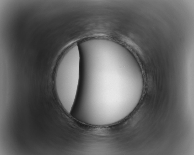 X0000089431166200706151016
