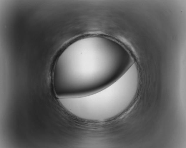 X0000089431167200706151016