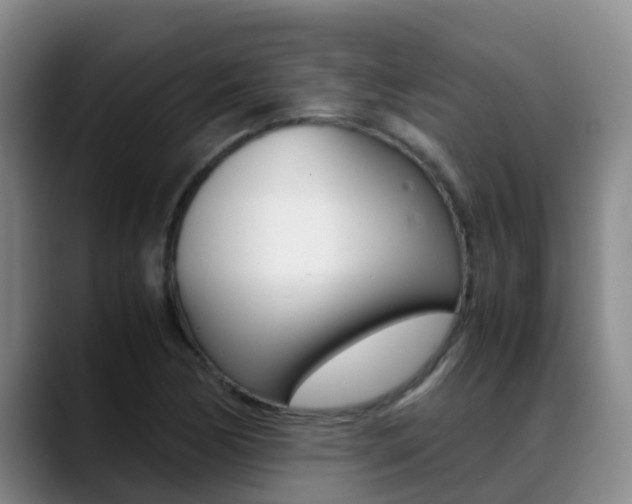 X0000089431170200706151016