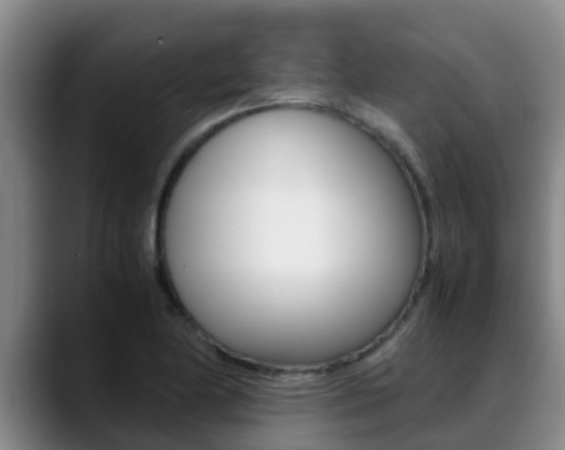X0000089431174200706151016