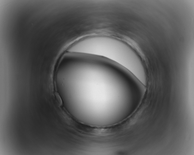 X0000089431176200706151016
