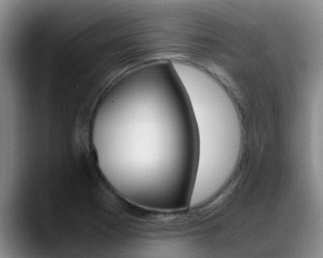 X0000089431177200706151016