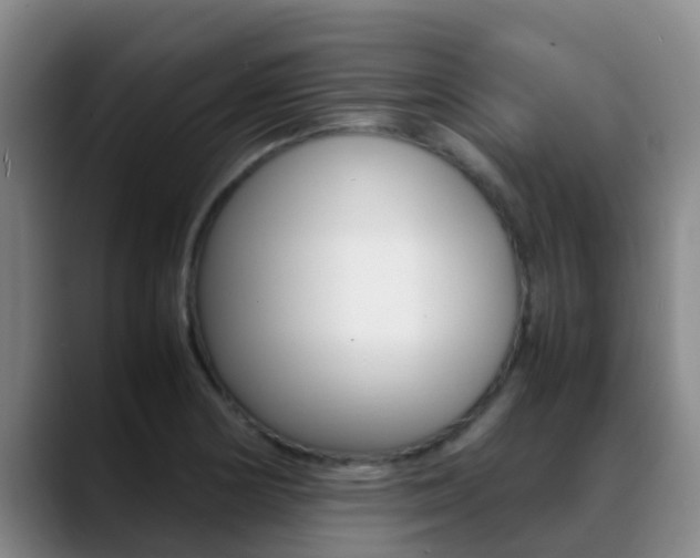 X0000089431178200706151016