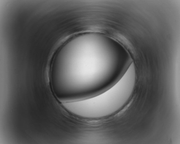 X0000089431180200706151016