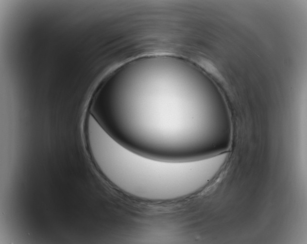 X0000089431181200706151016