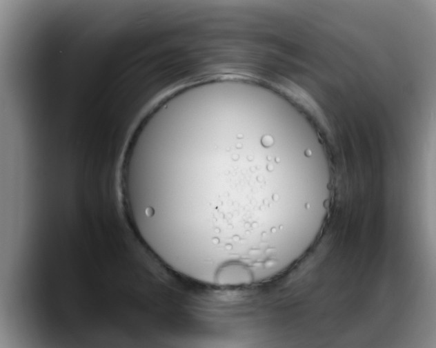 X0000089431182200706151016