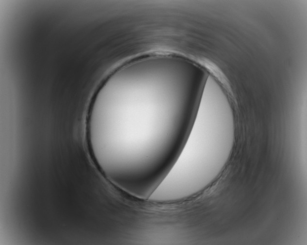 X0000089431183200706151016