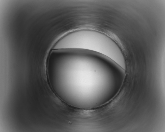 X0000089431184200706151016