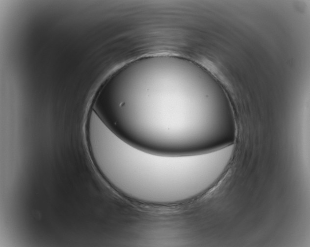X0000089431189200706151016