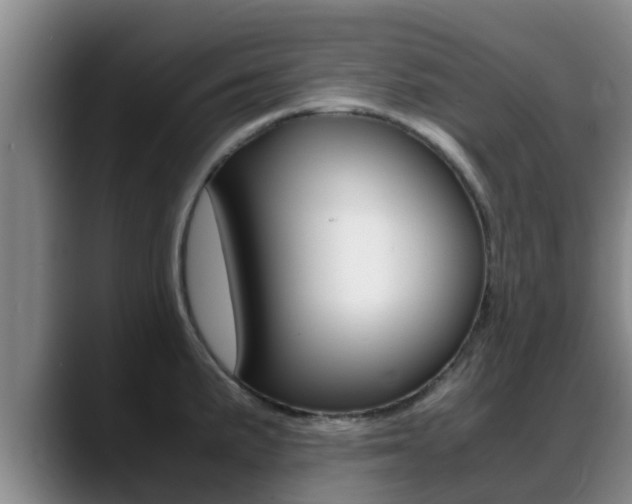 X0000089431191200706151016