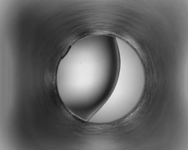 X0000089431193200706151016