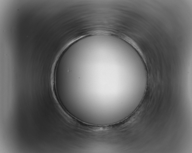 X0000089431195200706151016