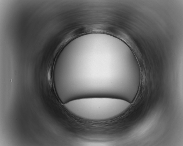 X0000089431198200706151016
