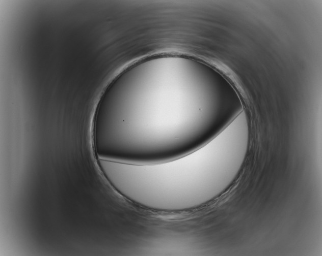 X0000089431199200706151016