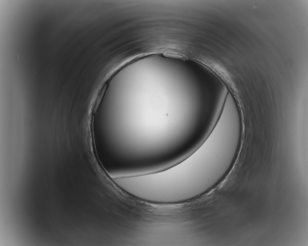X0000089431200200706151016