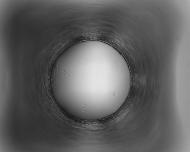 X0000089431201200706151015